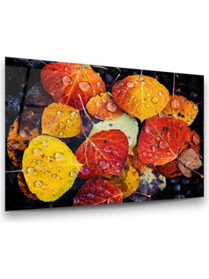 Glass Art Yapraklar ve Su Damlaları Yatay Cam Tablo