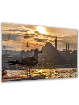 Glass Art Kuş ve Istanbul Yatay Cam Tablo
