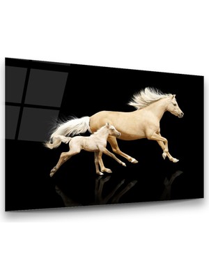 Glass Art Koşan At ve Yavrusu Yatay Cam Tablo