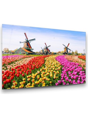 Glass Art Renkli Çiçek Bahçesi Yatay Cam Tablo