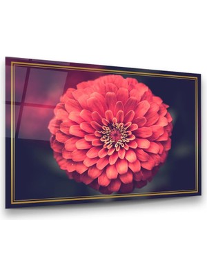 Glass Art Pembe Dahlia Çiçeği Yatay Cam Tablo