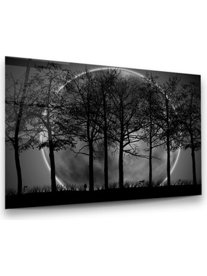 Glass Art Ay ve Ağaçlar Yatay Cam Tablo