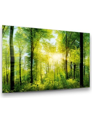 Glass Art Orman Yatay Cam Tablo