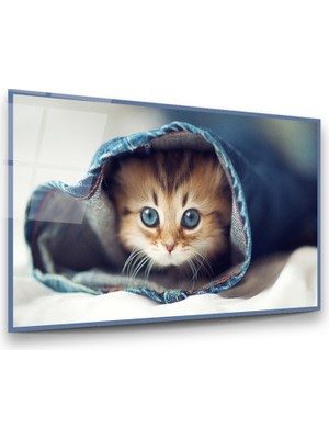 Glass Art Yavru Kedi Yatay Cam Tablo