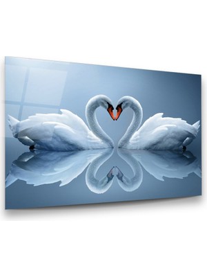Glass Art Beyaz Kuğular Yatay Cam Tablo