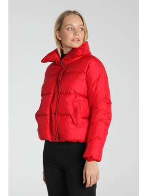 Pique  Pique Kadın Mont Leylak