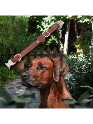 PLM Gerçek Deriden El Yapımı Köpek Tasması 50 cm Antik Taba