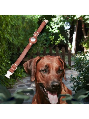 PLM Gerçek Deriden El Yapımı Köpek Tasması 50 cm Taba