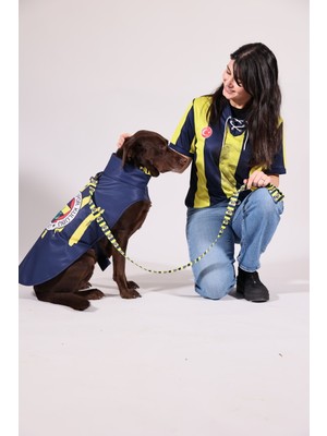 Pawlook Pawlook,fenerbahçe Lisanslı,köpek Yağmurluğu,