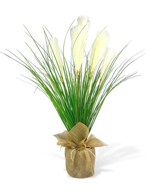 Nettenevime Yapay Çiçek Beyaz Püskül Grass Keten Saksılı Panpas 80*40CM Saz