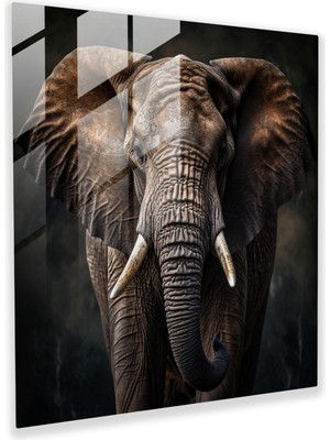 Painted Anarchy Ethereal Pachyderm Glass Print, 50X50