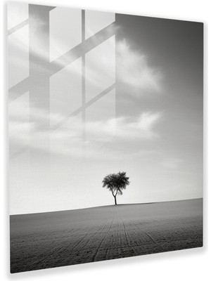 Painted Anarchy Minimalist Siyah Beyaz Fotoğrafın Zarif Cam Baskıları - Şık Ev Duvar Dekorasyonu, 50X50