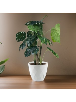 Temmuz Home 9.2 Litre Dekoratif Prizma Desenli Büyük Boy Tabaklı Plastik Saksı Yakamoz No5