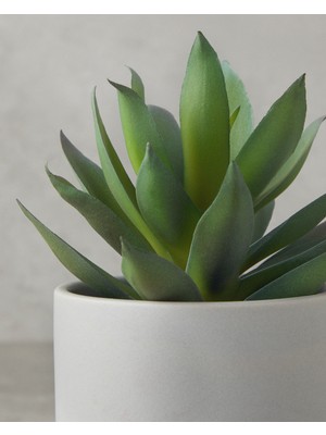 English Home Aloevera Plastik Vazolu Yapay Çiçek Yeşil