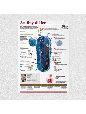 Sınıf Sepeti Antibiyotikler Posteri - PO702