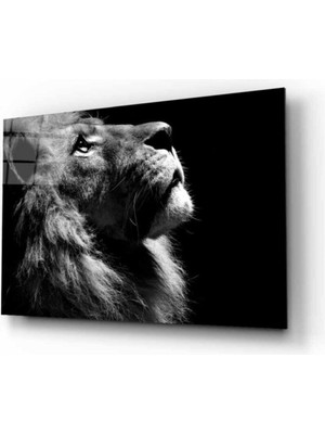 Emos avm Aslan 16 Hayvan Cam Tablo