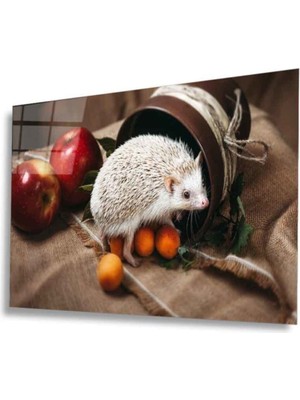 Emos avm Meyveler Cam Tablo 4mm Dayanıklı Temperli Cam