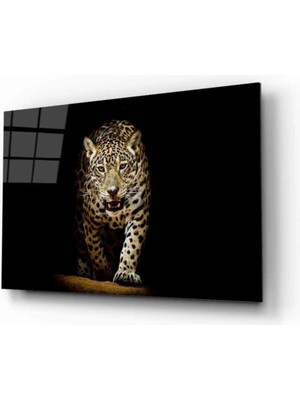 Emos avm Kaplan 11 Hayvan Cam Tablo