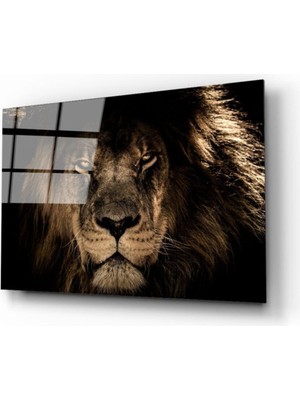 Emos avm Aslan 14 Cam Tablo