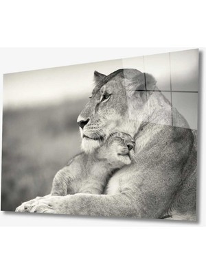 Emos avm Aslan Hayvan Cam Tablo 4mm Dayanıklı Temperli Cam