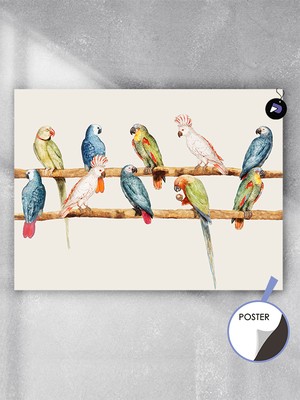 Postermanya Kuşlar Alemi Hayvan Poster - Afiş - Dekoratif Duvar Posteri