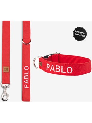 Lusi Doog Kişiye Özel Köpek Boyun Tasması Isme Özel Köpek Tasması Isimli Köpek Tasması ve Gezdirme Kayışı Seti