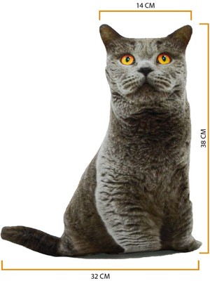 Nishev.com Evini Sev 3D Dijital Baskılı Kedi Yastık British Shorthair Kedi