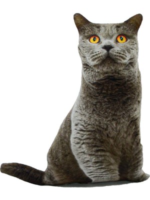 Nishev.com Evini Sev 3D Dijital Baskılı Kedi Yastık British Shorthair Kedi