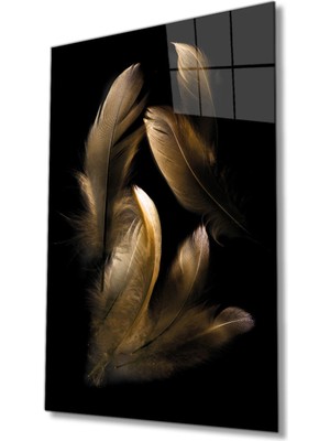 Miraaxx Kahverengi Tüy Cam Tablo, Ev ve Ofis Duvar Dekoru, Hediyelik Büyük Temperli 4 mm Cam Tablo