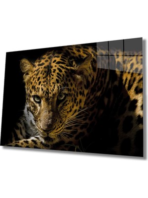 Miraaxx Leopar Hayvan Cam Tablo