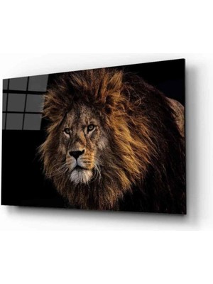 Miraaxx Aslan 20 Hayvan Cam Tablo