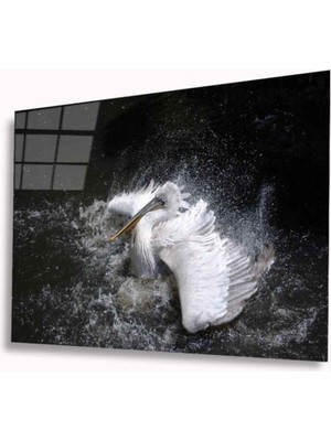 Miraaxx Pelikan Cam Tablo 4mm Dayanıklı Temperli Cam