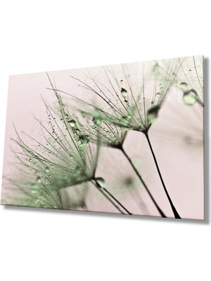 Miraaxx Yeşil Karahindiba Cam Tablo