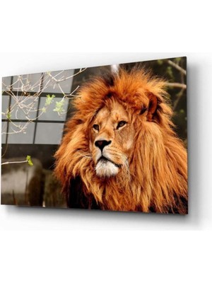 Miraaxx Aslan 3 Cam Tablo