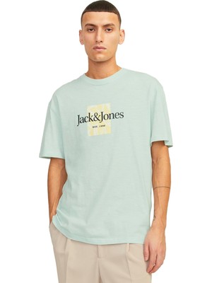 Jack & Jones Erkek Tshirt 12250436 12250436004