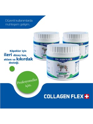 Collagen Flex 400 gr 2 Adet Köpekler Için Kas,eklem Desteği