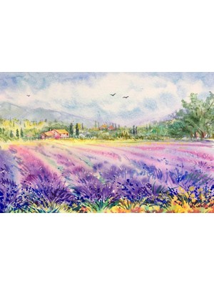 Movas Sanat Lavanta Tarlaları Provence Fransa | Elmas Mozaik Puzzle | 50x33 | E20201075M