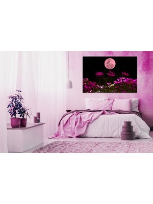 Aden Pembe Çiçekler ve Ay Kanvas Tablo