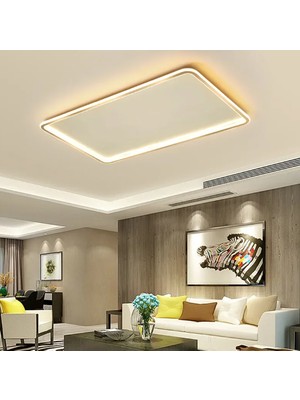 Zr Aydınlatma Beyaz 60 x 90 cm  Dikdörtgen 3 Işık Rengi,Kumandalı Led Tavan Lambası,Avize,Modern Aydınlatma, Dekoratif Işık