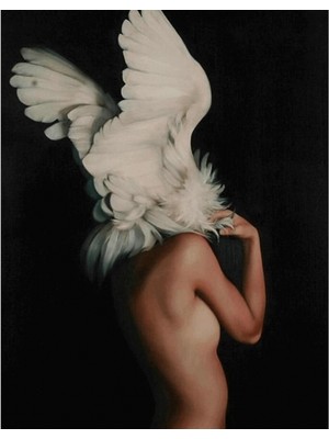 Emos avm Canvas Özgür Ruhlu Kadın Sayılarla Boyama Seti  Kasnaklı