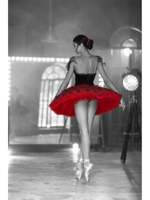 Emos avm Canvas Balerin Durusu Sayılarla Boyama Seti  Kasnaklı