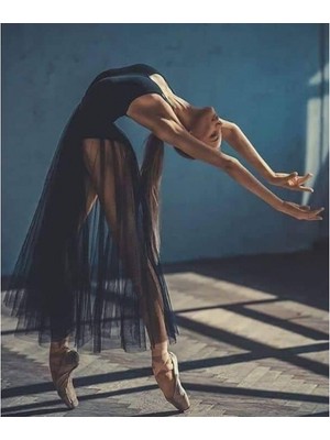 Emos avm Canvas Siyah Balerin Sayılarla Boyama Seti  Kasnaklı