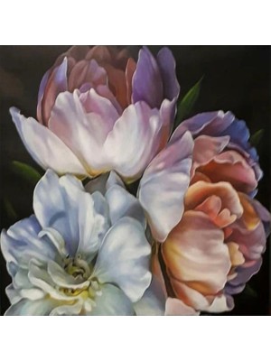 Emos avm Hobby Şakayık Kıvrımları Sayılarla Boyama Seti   Rulo