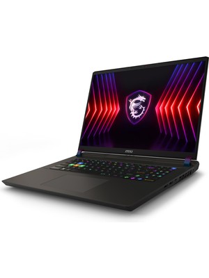 MSI VECTOR 17 HX A14VHG-838XTR Intel Core i9 14900HX 32GB 2TB SSD RTX4080 Freedos 17" QHD+ 240Hz Taşınabilir Bilgisayar