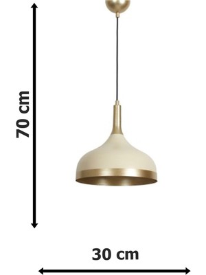 Woodhub Mutfak Cosmos Özel Tasarım Spor Modern Krem Gold Cafe - Mutfak Sarkıt Tekli Avize 50 x 30 Bej Metal