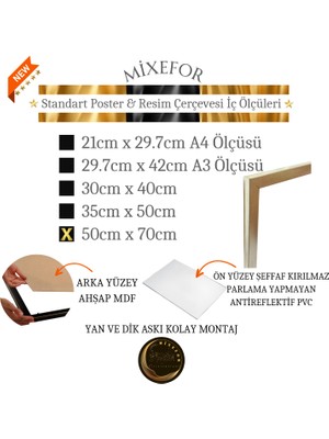 mixefor 50CM X70CM Ölçü Boş Çerçeve -Poster Fotoğraf Resim Çerçevesi Ön Yüzey Antireflektif