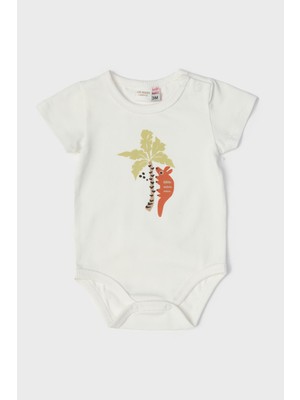 Layette Erkek Bebek Ekru Body