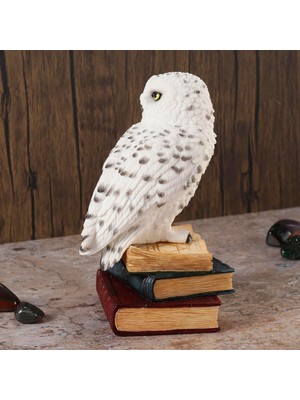 Rakun Home Kitap Üzerinde Beyaz Kar Baykuşu Hedwig Biblosu - Harry Potter