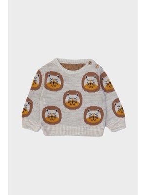 Layette Erkek Bebek Kazak Grafik Desenli Bisiklet Yaka Günlük Kullanım İçin