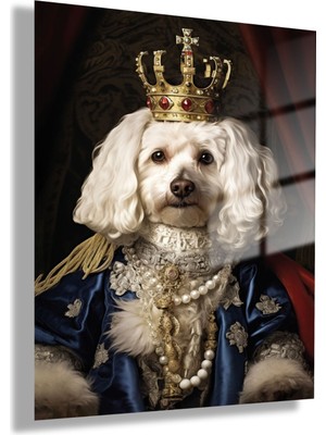 Temperli Gerçek Cam Tablo Kral Kostümlü Beyaz Toy Poodle